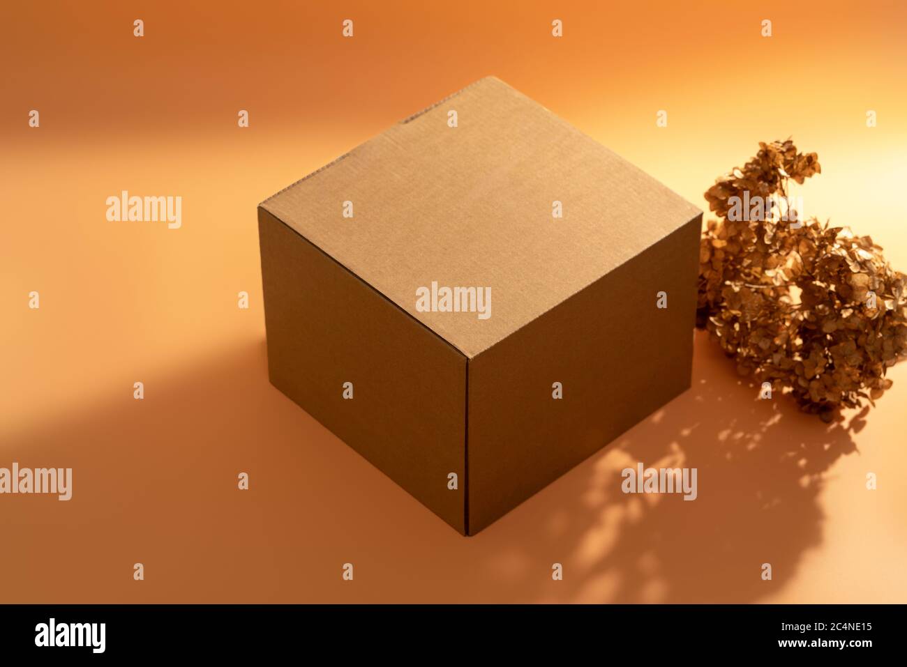Female hands and hold a cardboard box. Copy space for text. Delivery concept. Stock Photo