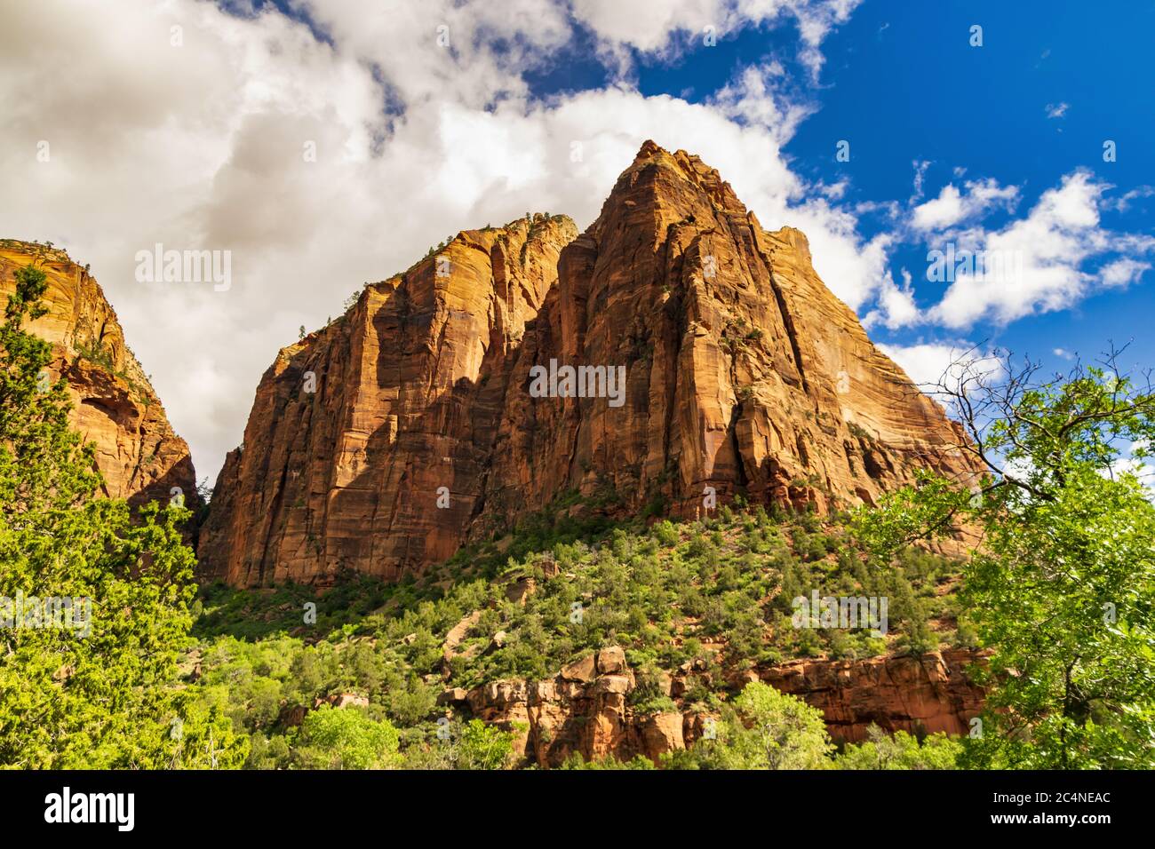 Utah Cliffs Beautiful scenery of the famous red cliffs at the Zion National Park ...