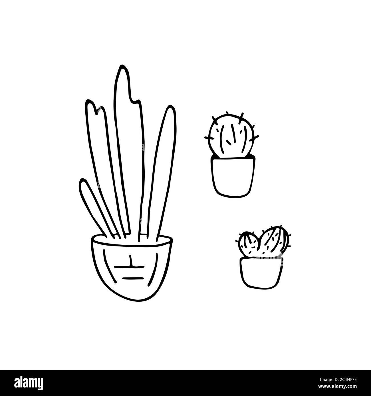 Doodle house plants. Hand drawn pot plants set. Vector illustration ...