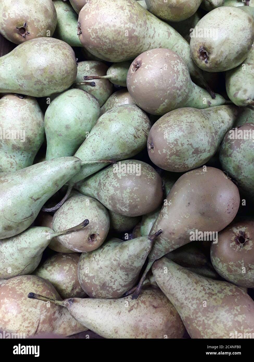 Fresh low calorie fresh raw Conference Pears in a heap background Stock