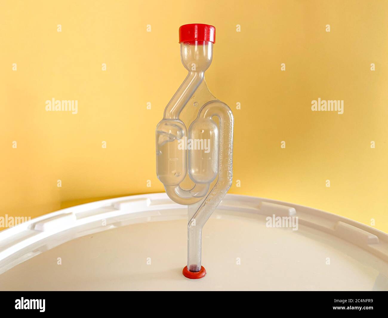 Home beer brewery in progress, bubbling airlock on fermentation