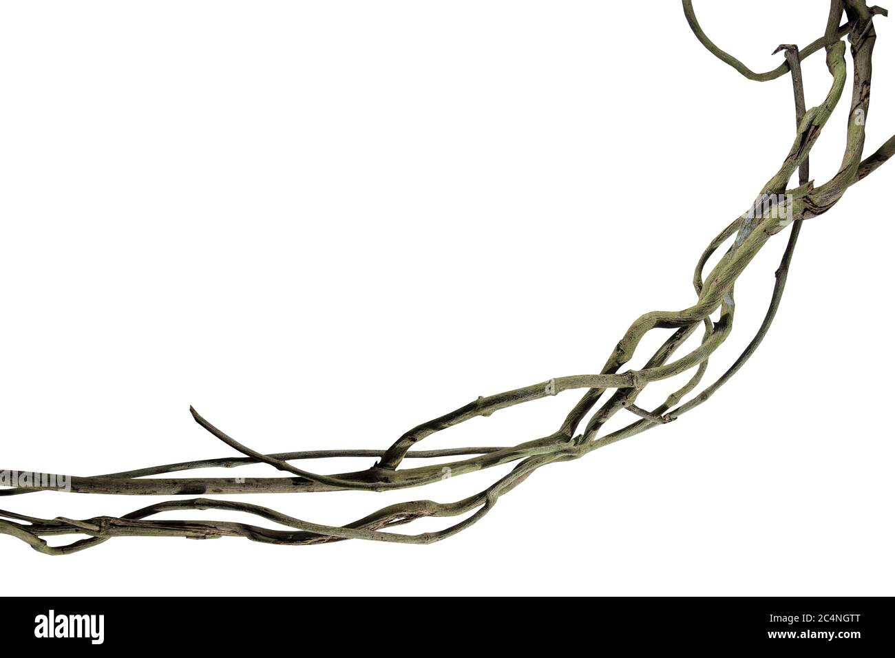 Myanmar morning Cut Out Stock Images & Pictures Alamy