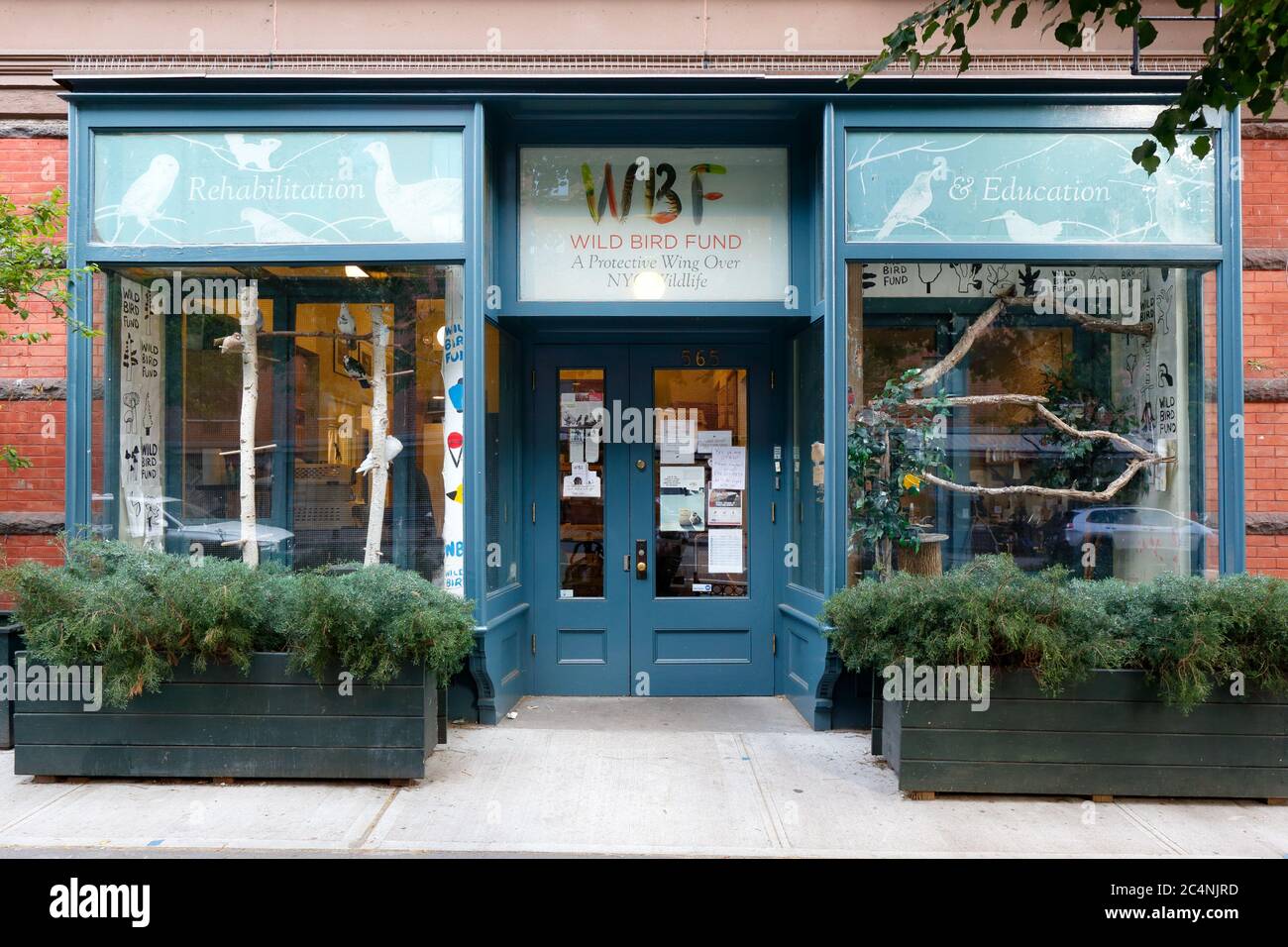 Wild Bird Fund, 565 Columbus Ave, New York, NY. exterior storefront of a wildlife rescue service organization in the Upper West Side neighborhood. Stock Photo