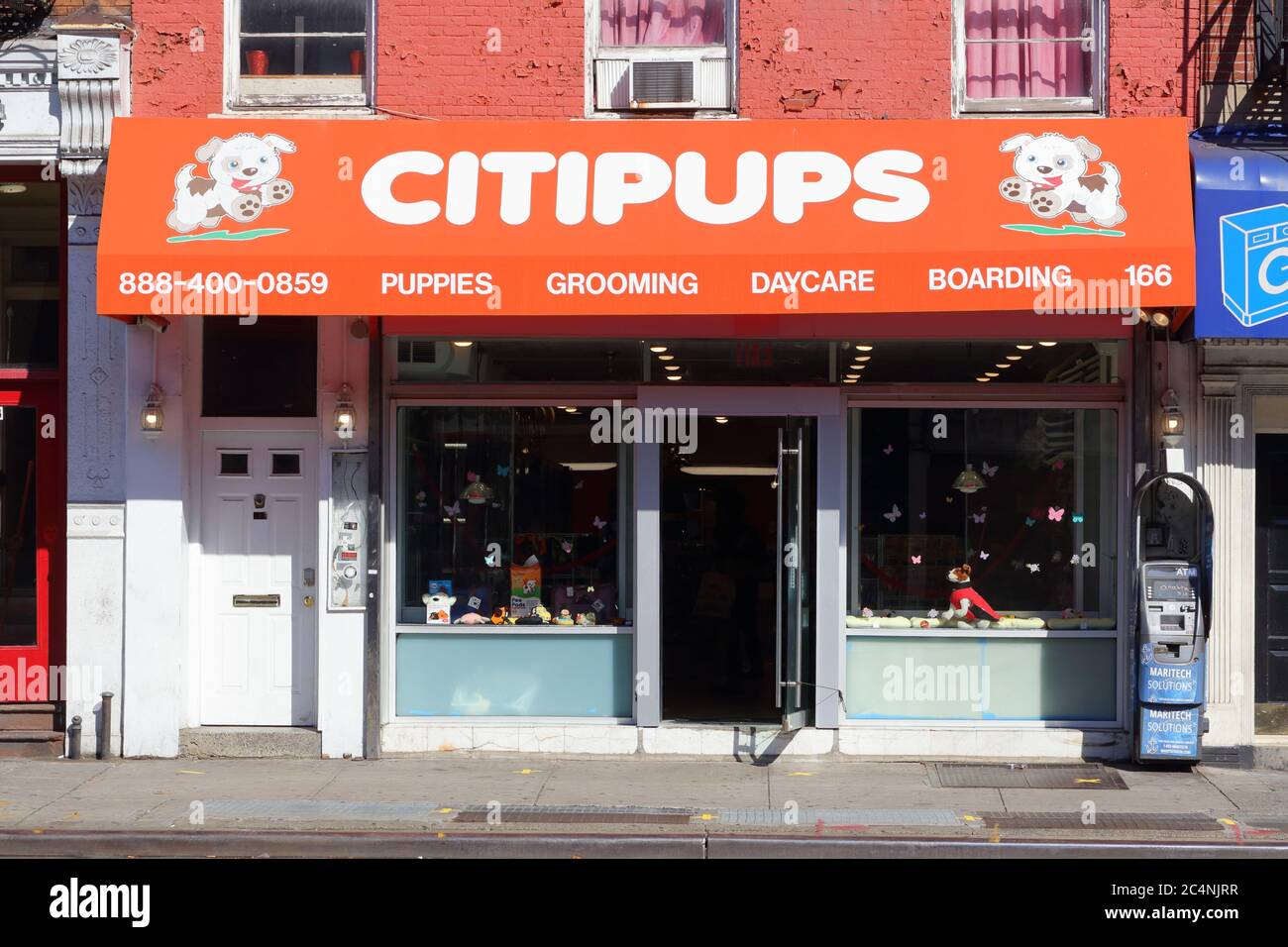 Puppy store manhattan discount
