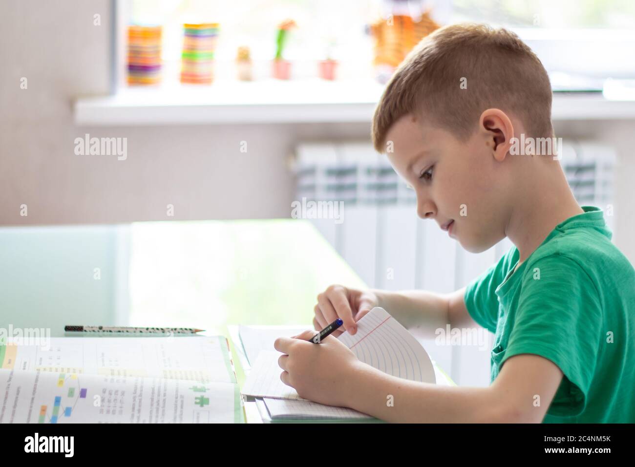 Study From School Distance learning online education. Schoolboy studying at home and ...