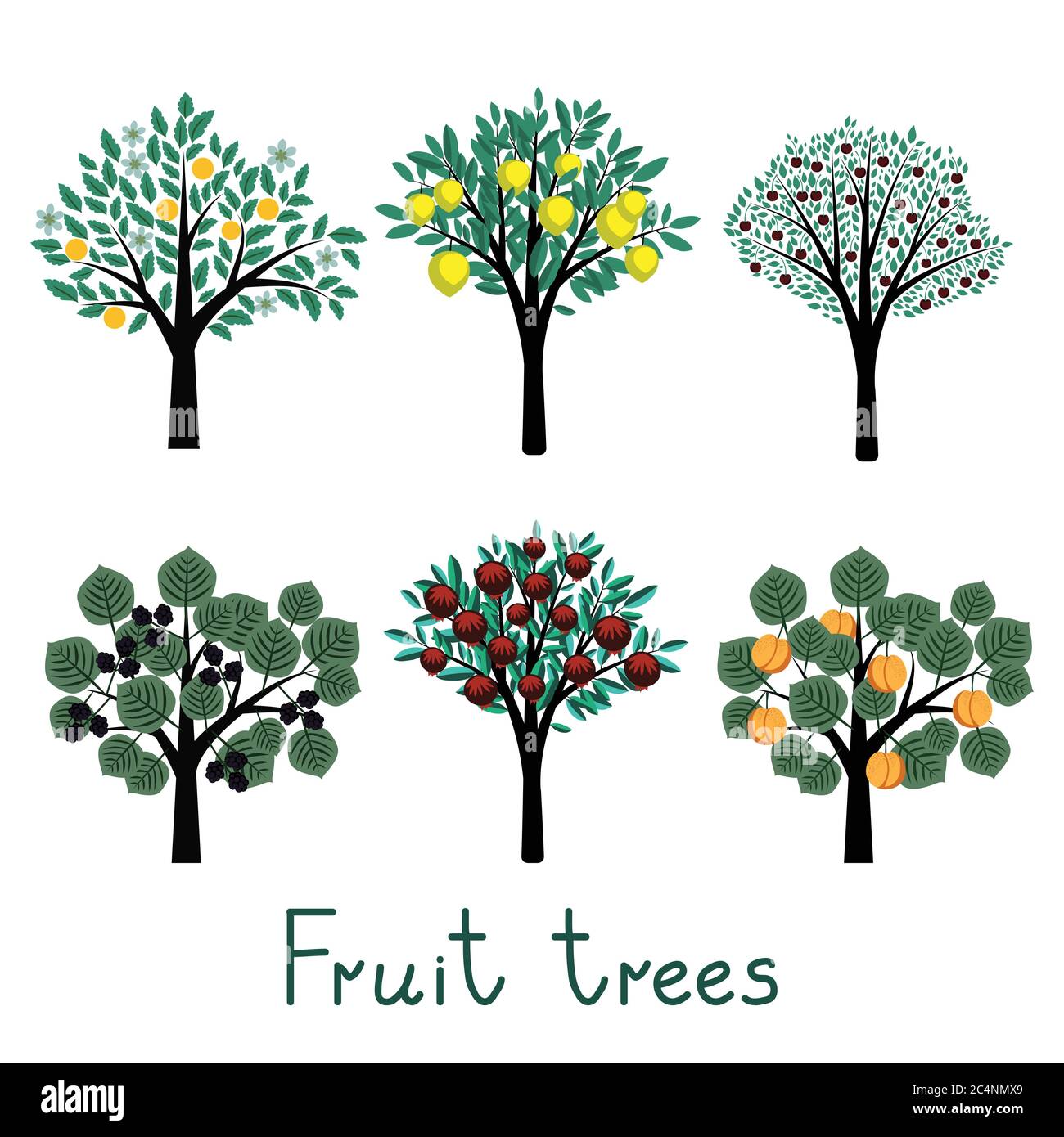 Different vector decorative simple fruit trees collection Stock Vector
