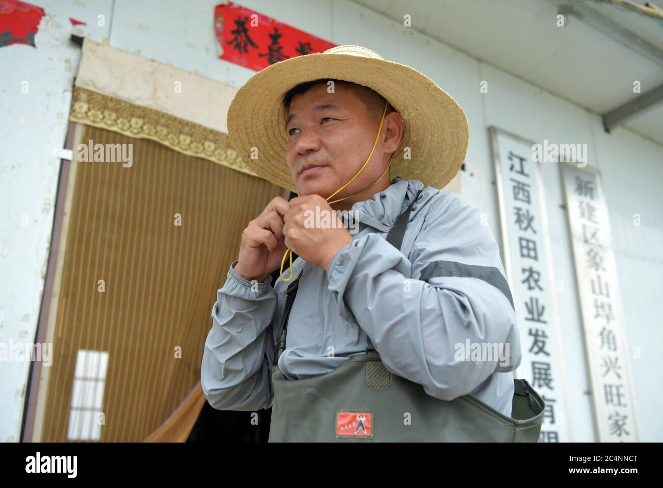 (200628) -- NANCHANG, June 28, 2020 (Xinhua) -- Wu Huashan wears an outfit to harvest crayfish in Xiangshan Township of Nanchang, east China's Jiangxi Province, June 5, 2020. Having learned fishing at an early age with his parents, Wu was a skilled fisherman and was head of a local fishery association. In late 2019, he bade farewell to his boats and started a crayfish business. China began a 10-year fishing moratorium from the beginning of this year in 332 conservation areas in the Yangtze River basin, which will be expanded to all the natural waterways of the country's longest river and its m Stock Photo