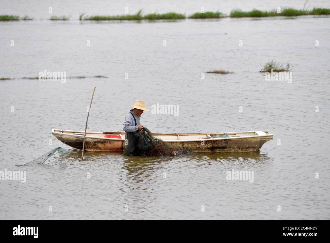 (200628) -- NANCHANG, June 28, 2020 (Xinhua) -- Wu Huashan harvests crayfish in Xiangshan Township of Nanchang, east China's Jiangxi Province, June 5, 2020. Having learned fishing at an early age with his parents, Wu was a skilled fisherman and was head of a local fishery association. In late 2019, he bade farewell to his boats and started a crayfish business. China began a 10-year fishing moratorium from the beginning of this year in 332 conservation areas in the Yangtze River basin, which will be expanded to all the natural waterways of the country's longest river and its major tributaries f Stock Photo