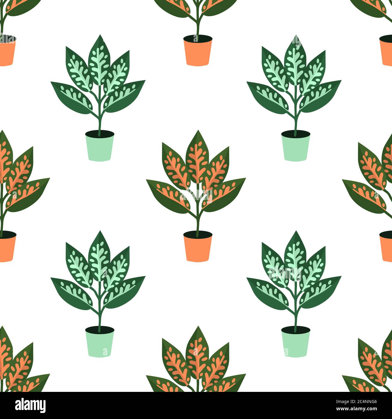 Seamless aglaonema house plant pattern Stock Vector