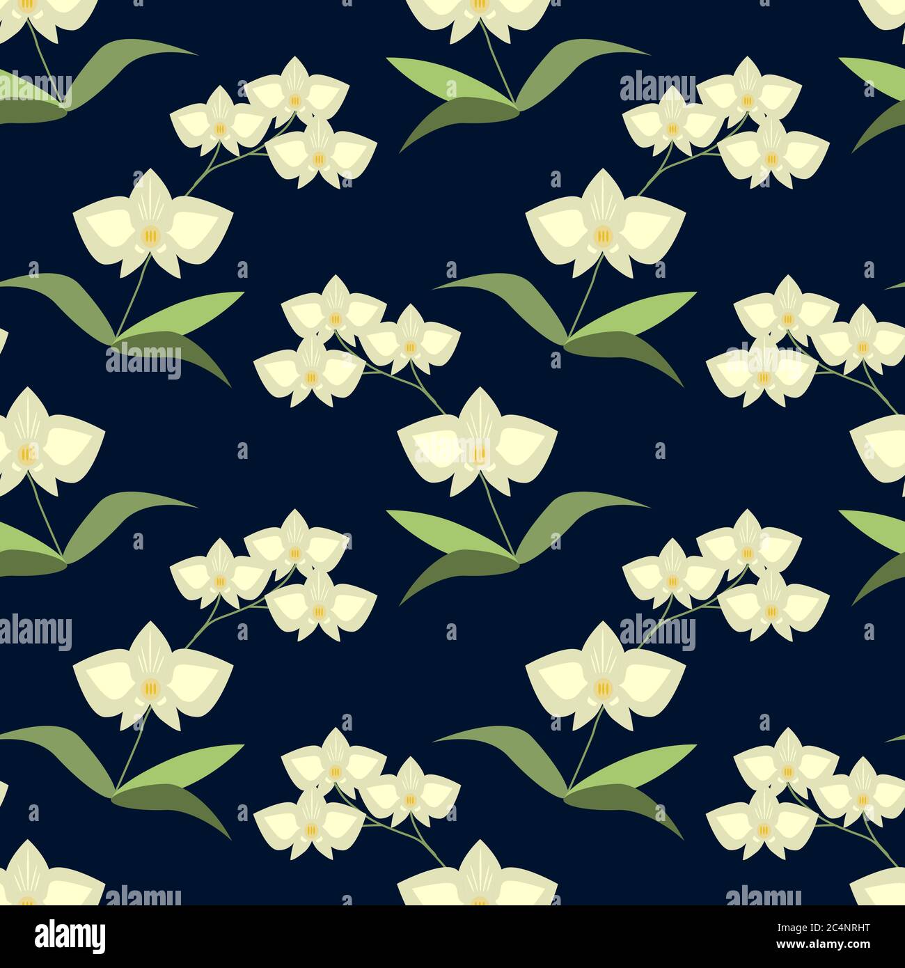 Phalaenopsis orchid orchids Stock Vector Images - Alamy