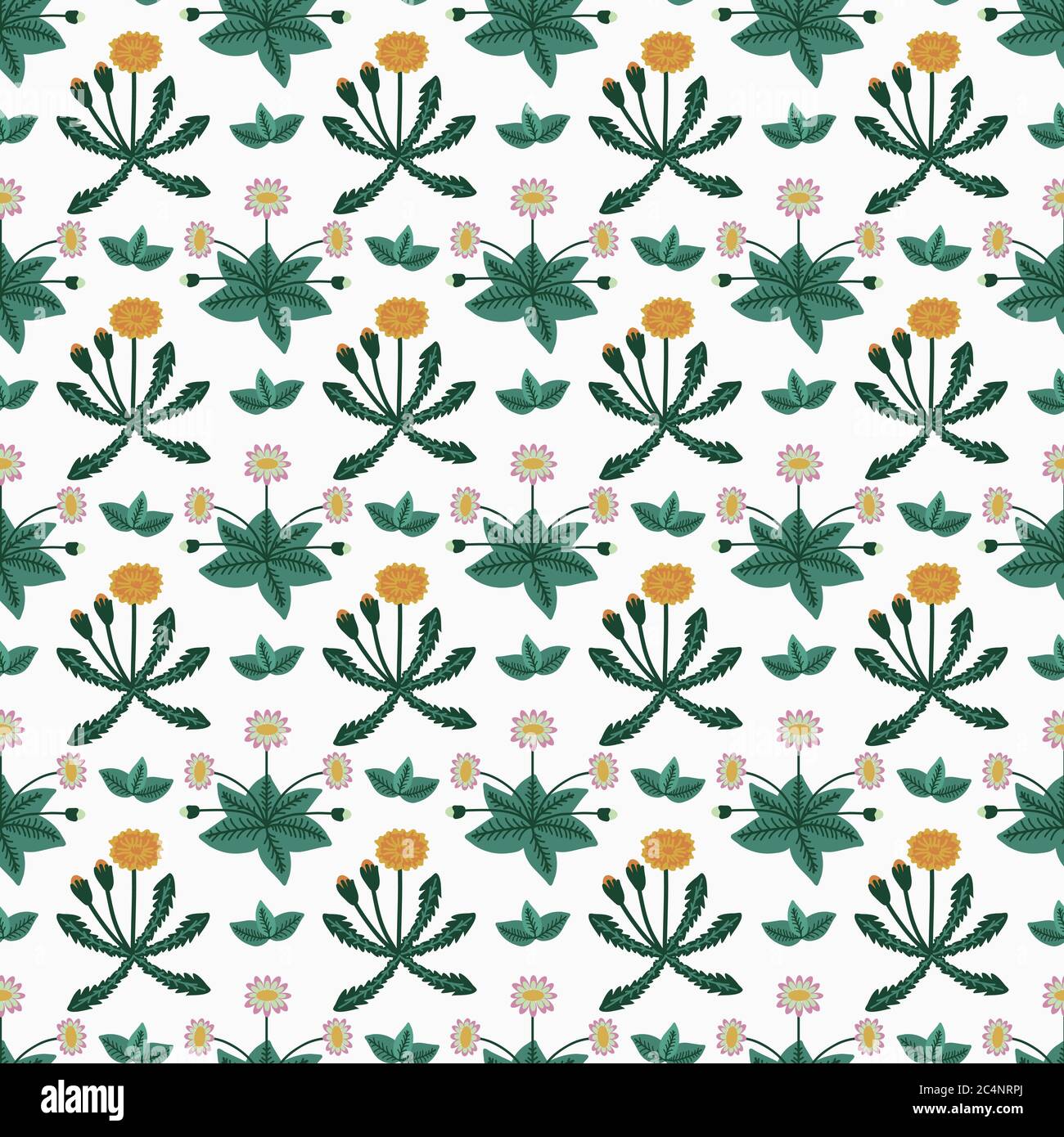 Seamless floral pattern with daisisies and dandelions Stock Vector