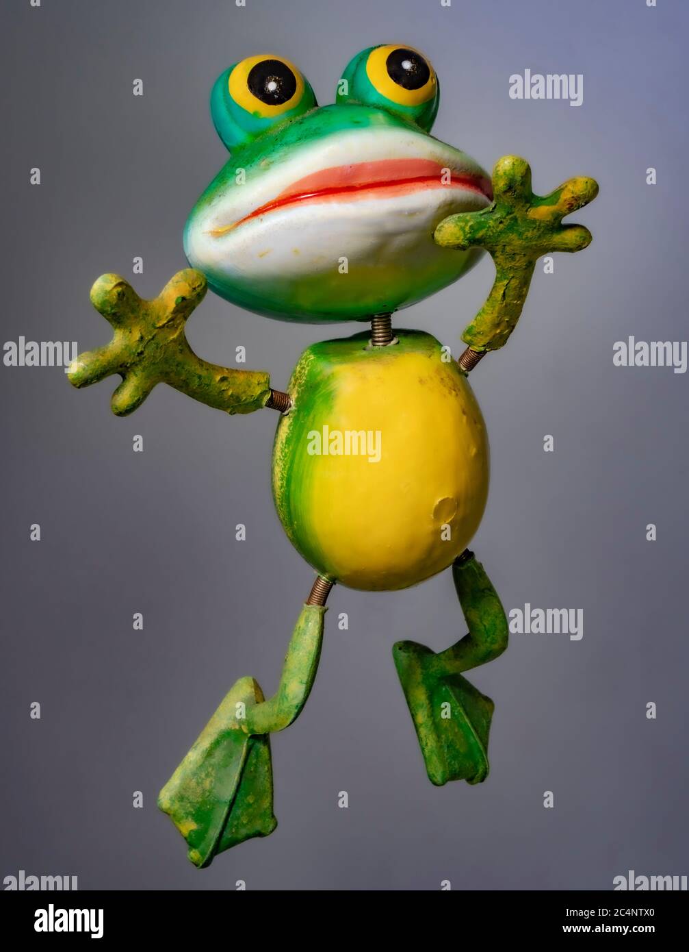 Funny Frog Wallpaper