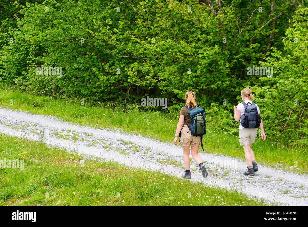 Young women walking on a path with lush trees Stock Photo - Alamy