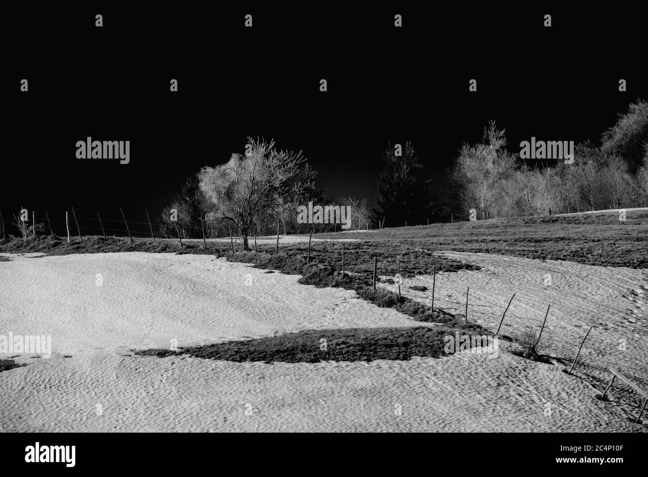 Rocky mountain christmas Black and White Stock Photos & Images - Alamy