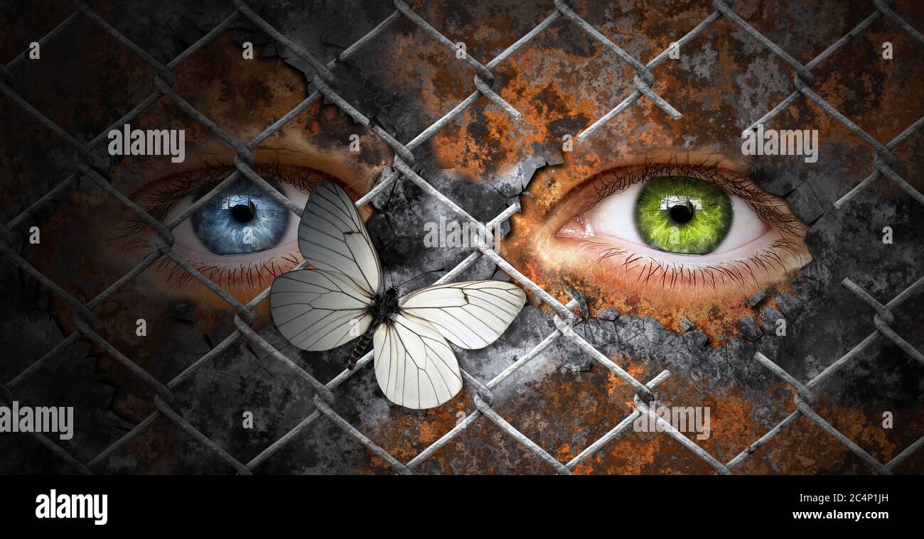 human eyes with butterfly and metal chainlink Stock Photo