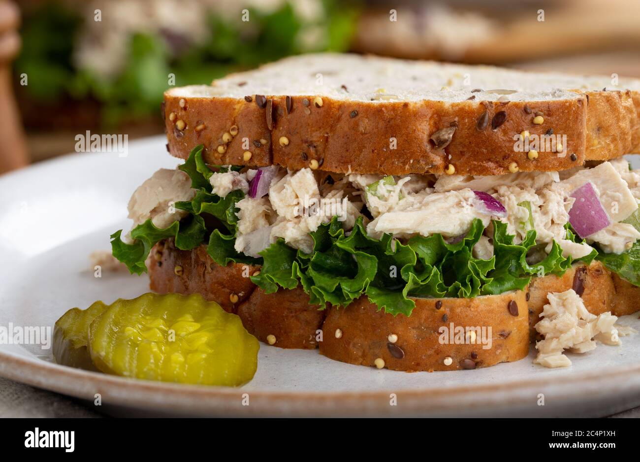 Tuna fish salad and lettuce sandwich on multiseed bread with sliced pickles on a white plate Stock Photo