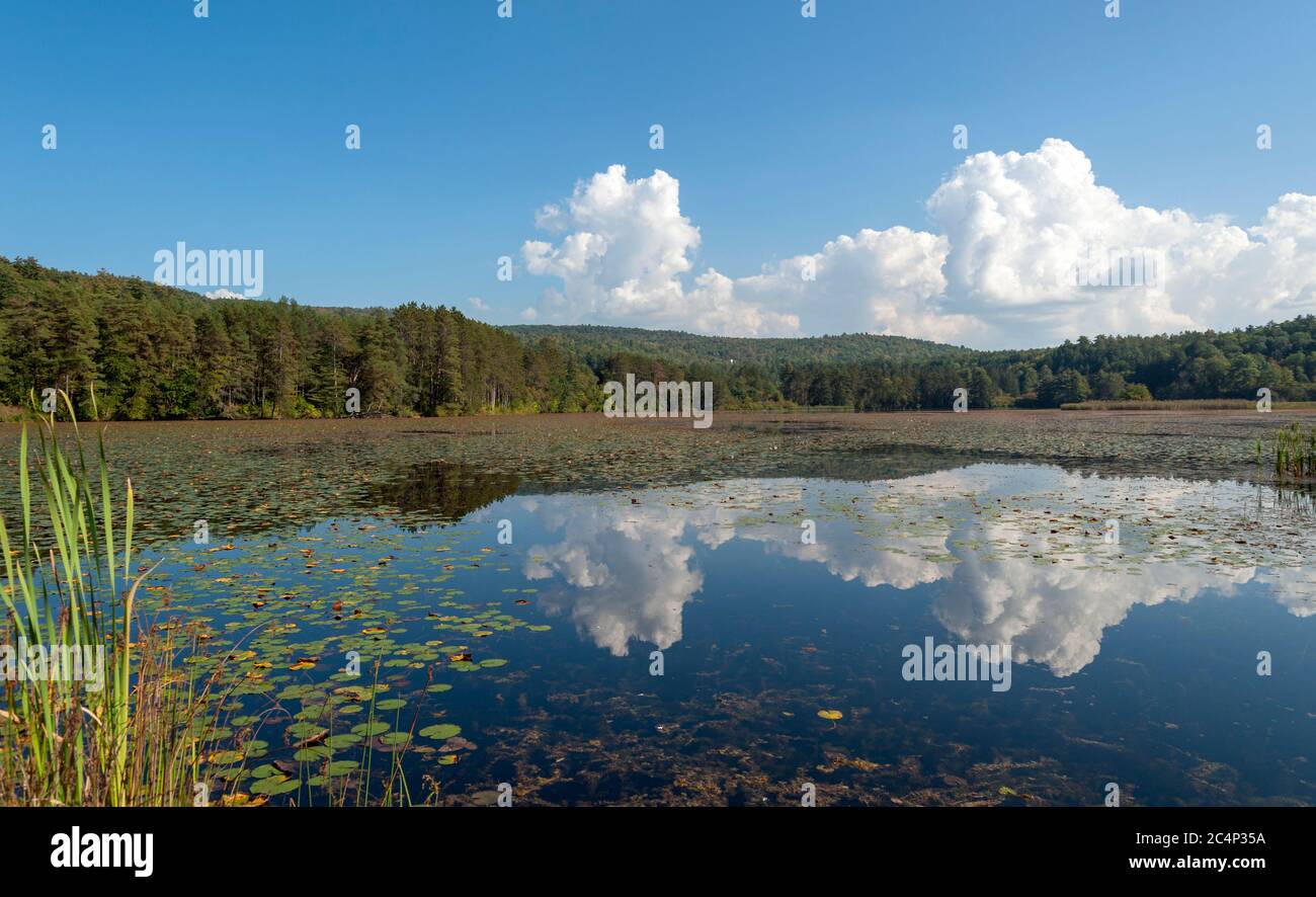 Scenic lake at Quechee, Vermont, USA Stock Photo Alamy