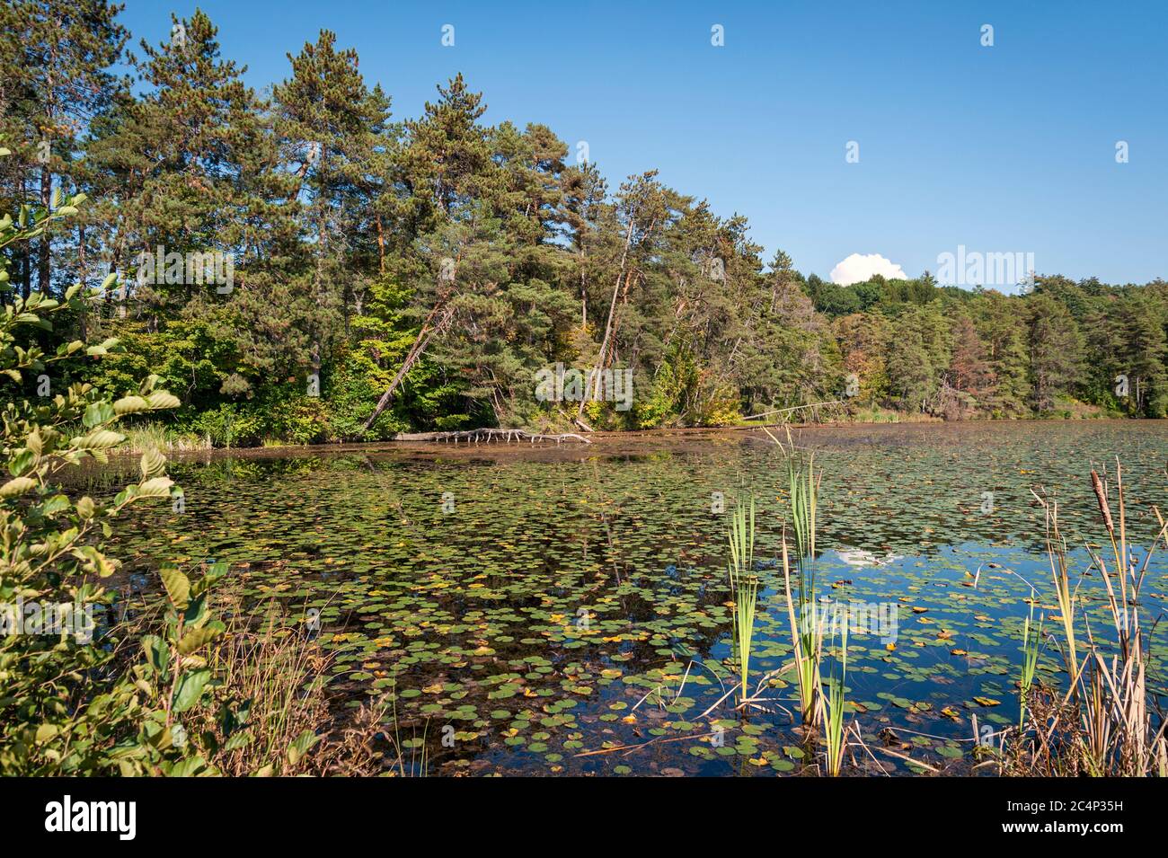 Scenic lake at Quechee, Vermont, USA Stock Photo Alamy