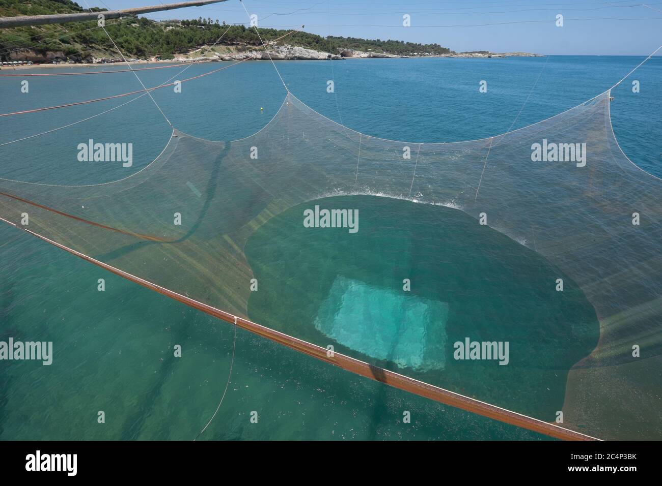 Huge fishing net is pulled up by ropes in a traditional fishing