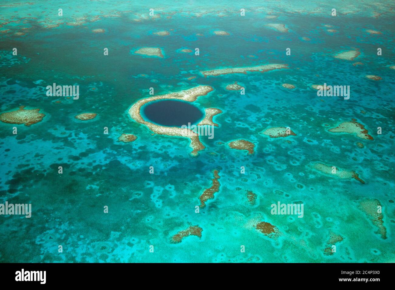 Aerial view of The Great Blue