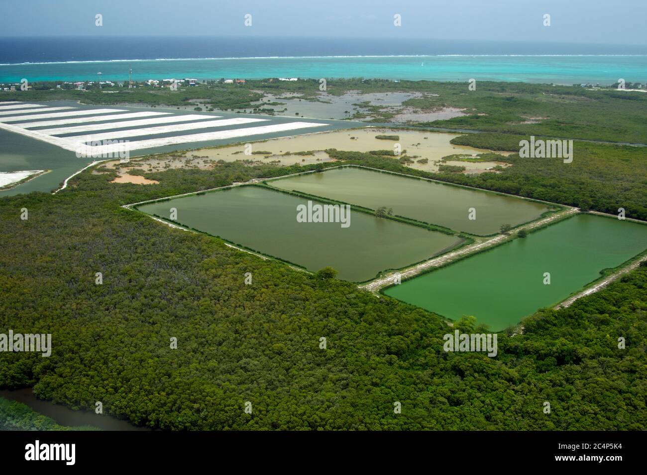 Aerial view of salt ponds, San Pedro, Ambergris Caye, Belize Stock Photo