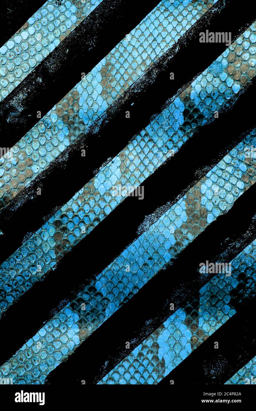 https://c8.alamy.com/comp/2C4P82A/abstract-snakeskin-or-animal-skin-with-lines-for-retro-background-2C4P82A.jpg