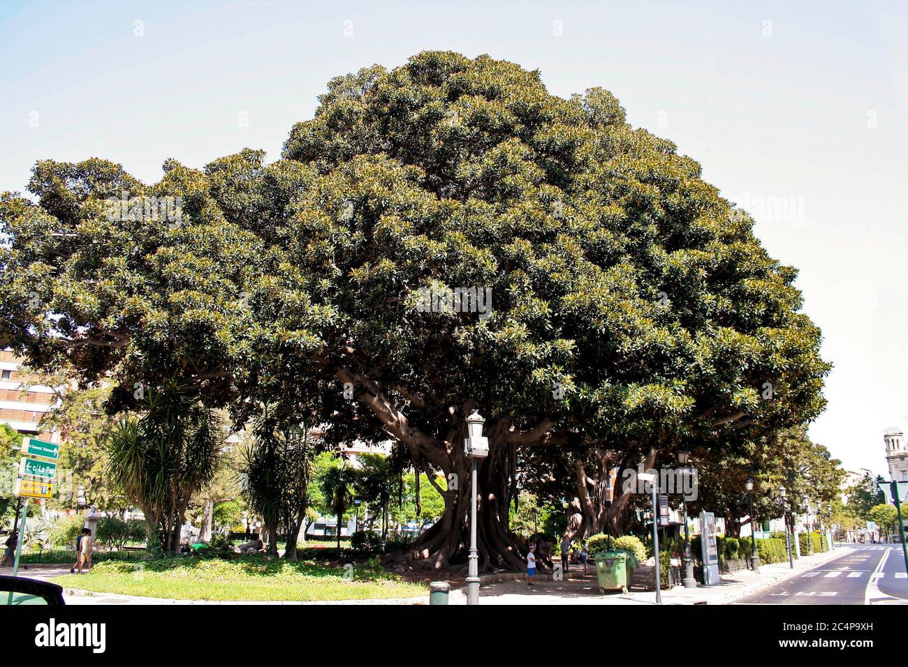 València, Comunidad Valenciana, Spain. Glorieta Gardens (Jardins de la Glorieta or Jardines de