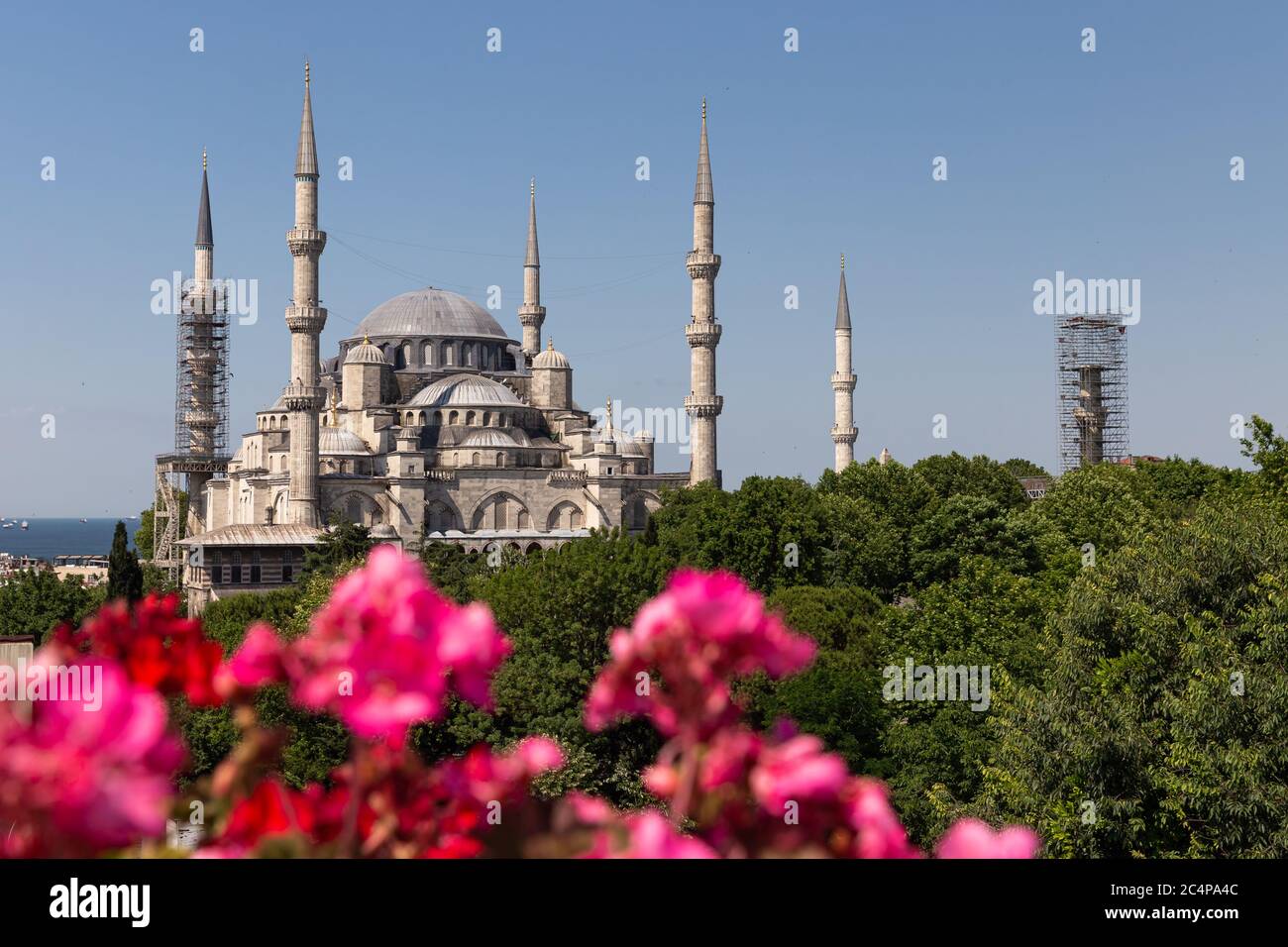 Sultanahmet Blue Mosque in Sultanahmet, Istanbul City, Turkey Stock ...