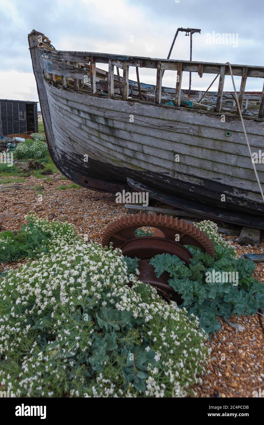 The wreck of an old wooden fishing boat on the shingle beach at ...
