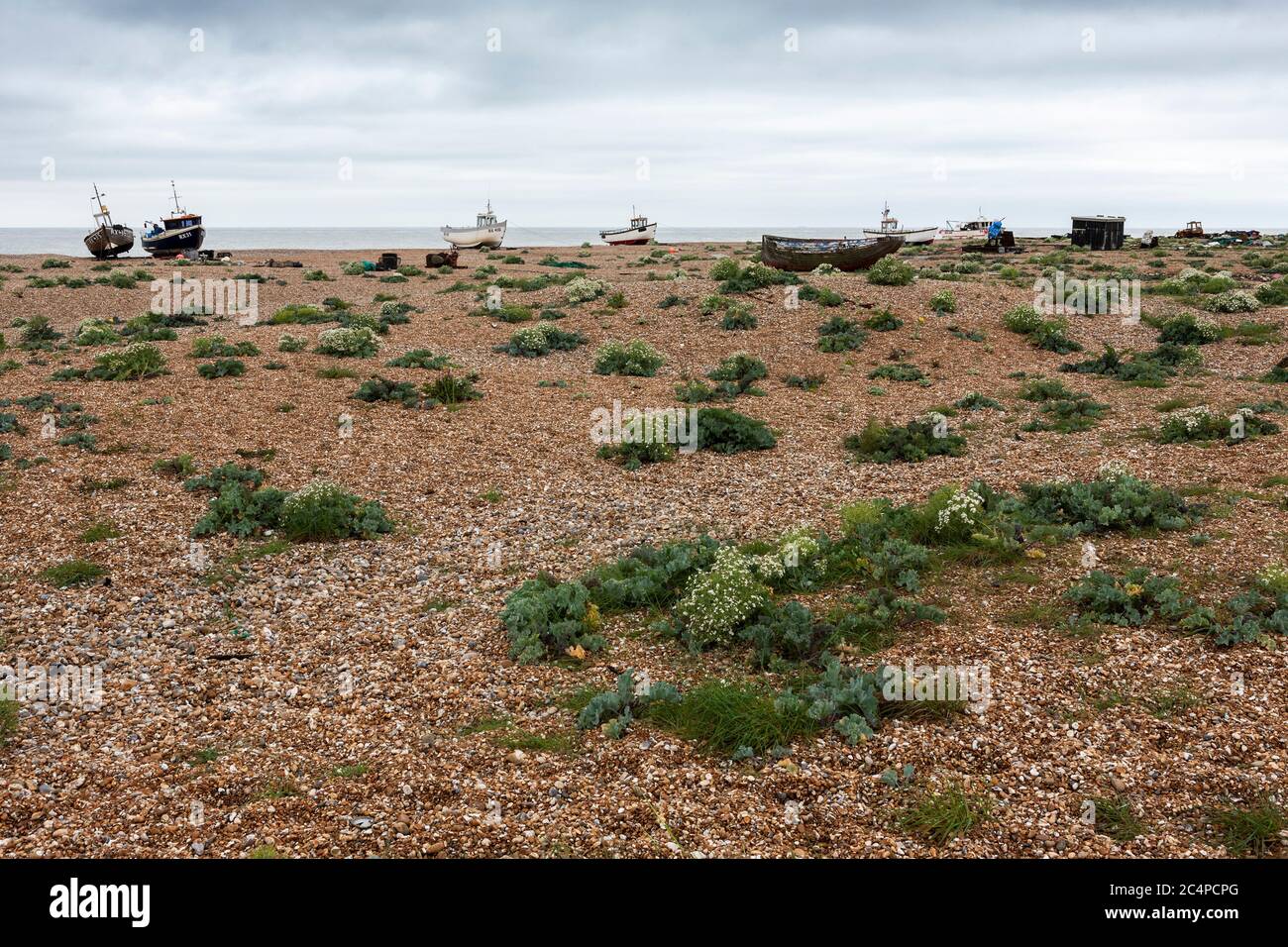 Old wooden fishing boats on the shingle beach at Dungeness, Kent ...
