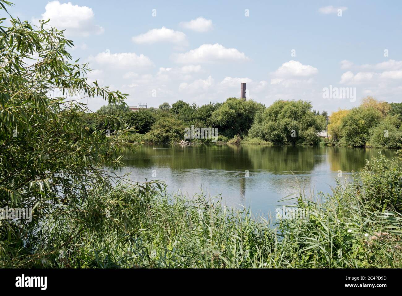 Tranquil view over water surrounded by greenery at Walthamstow Reservoirs now Walthamstow Wetlands an inner city wetland site and urban nature reserve Stock Photo