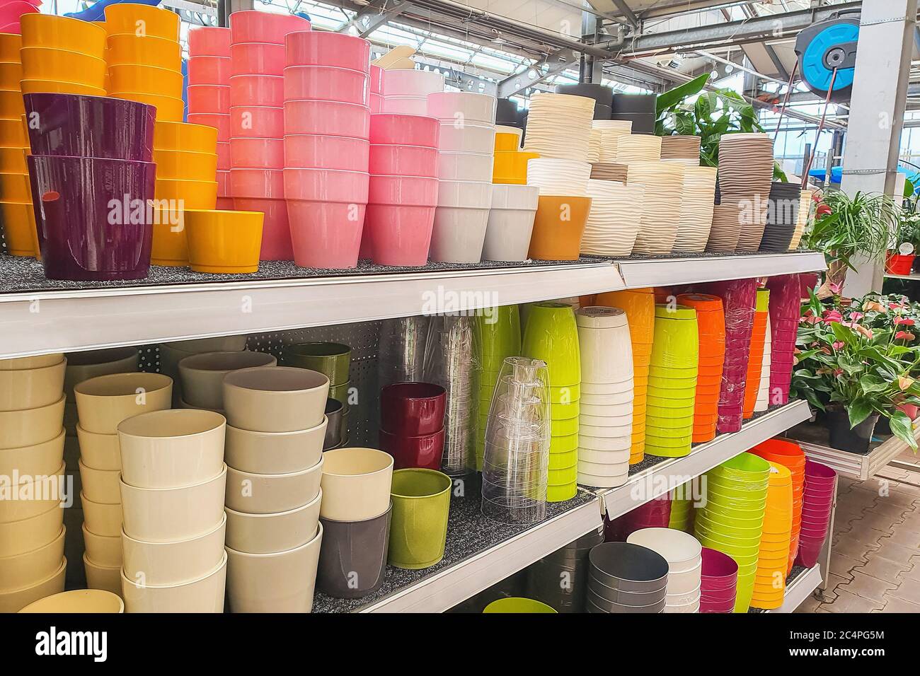 Variety of colorful flower pots in a plant store Stock Photo Alamy