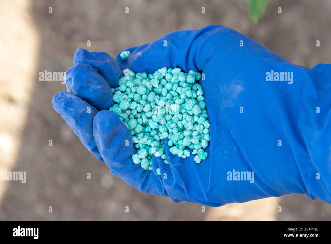 Blue different shape chemical fertilizer granules in human's hand. Stock Photo