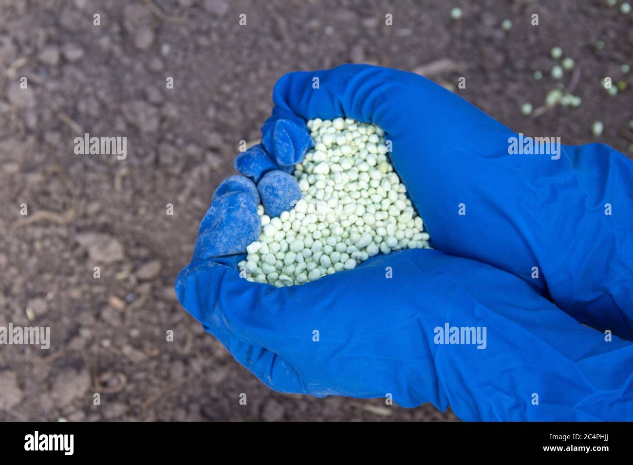 Green different shape chemical fertilizer granules in human's hand. Stock Photo