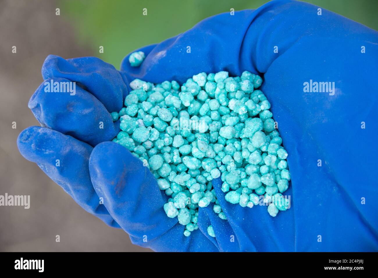 Blue different shape chemical fertilizer granules in human's hand. Stock Photo