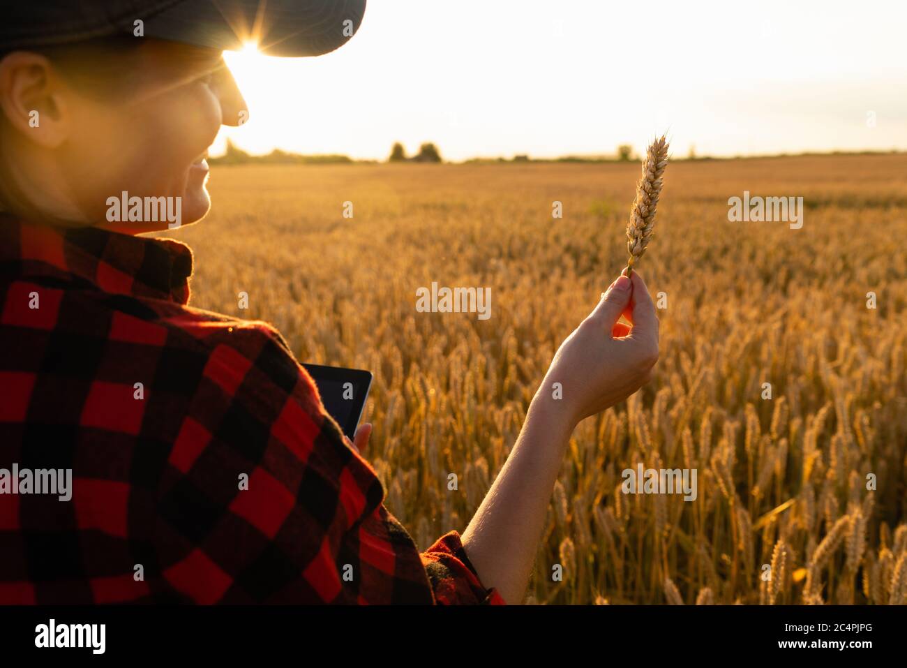 Farmer stands field looks hi-res stock photography and images - Alamy