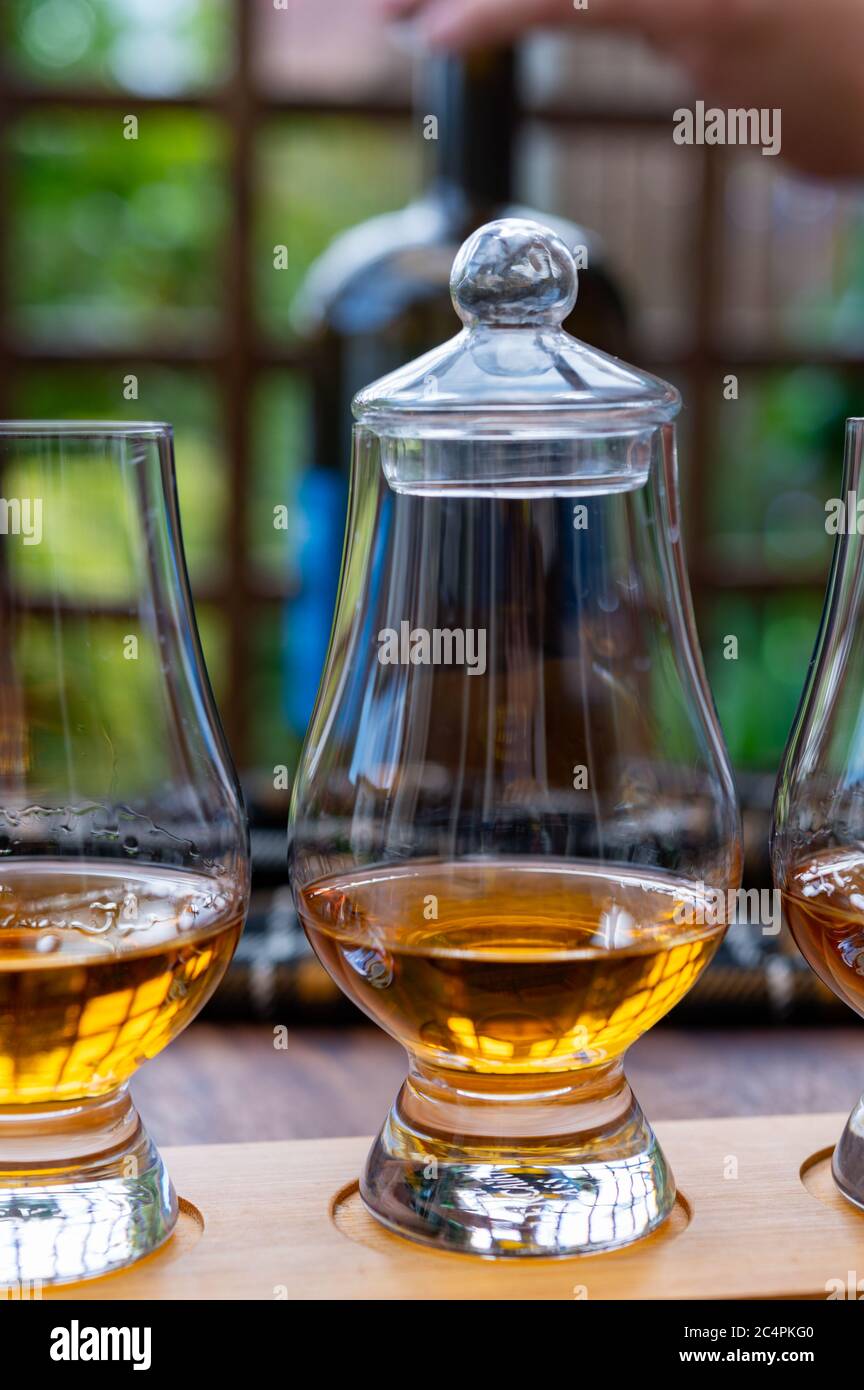 Tasting of different Scotch whisky drinks in traditional old British