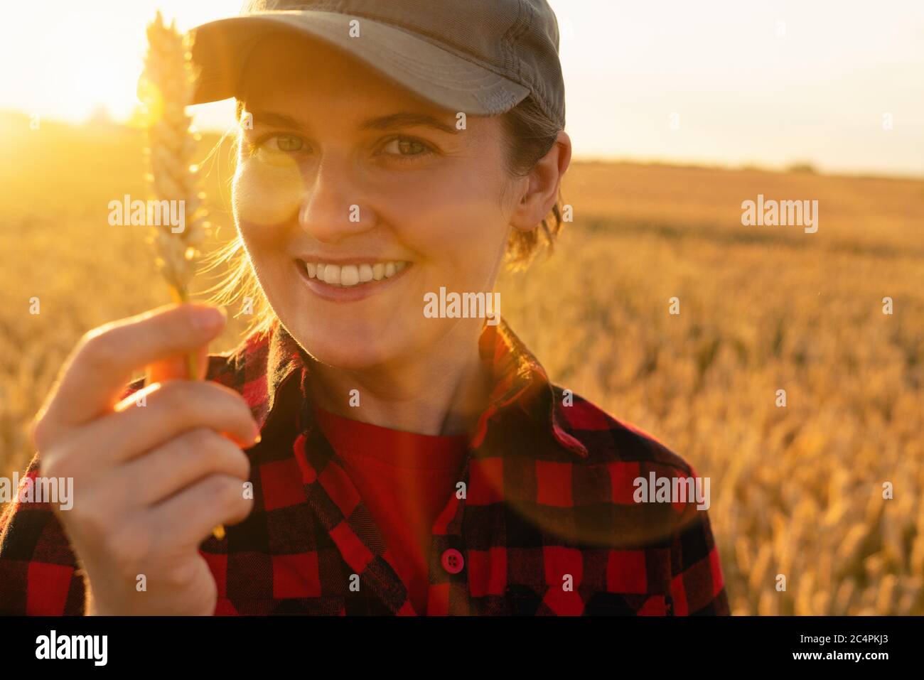 A woman farmer stands in a agricultural field at sunset and looks at an ear of wheat. Stock Photo