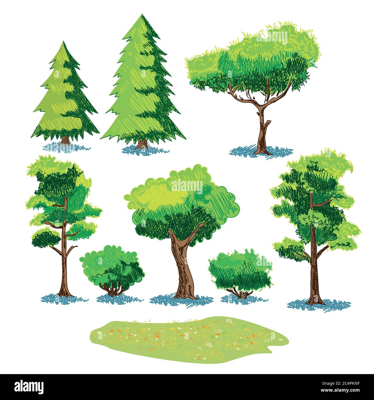 Set of stylized vector sketches of different plants Stock Vector Image ...