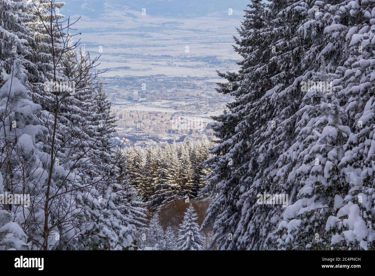 View of the city of Sofia from the mountain Vitosha in Winter. Stock Photo