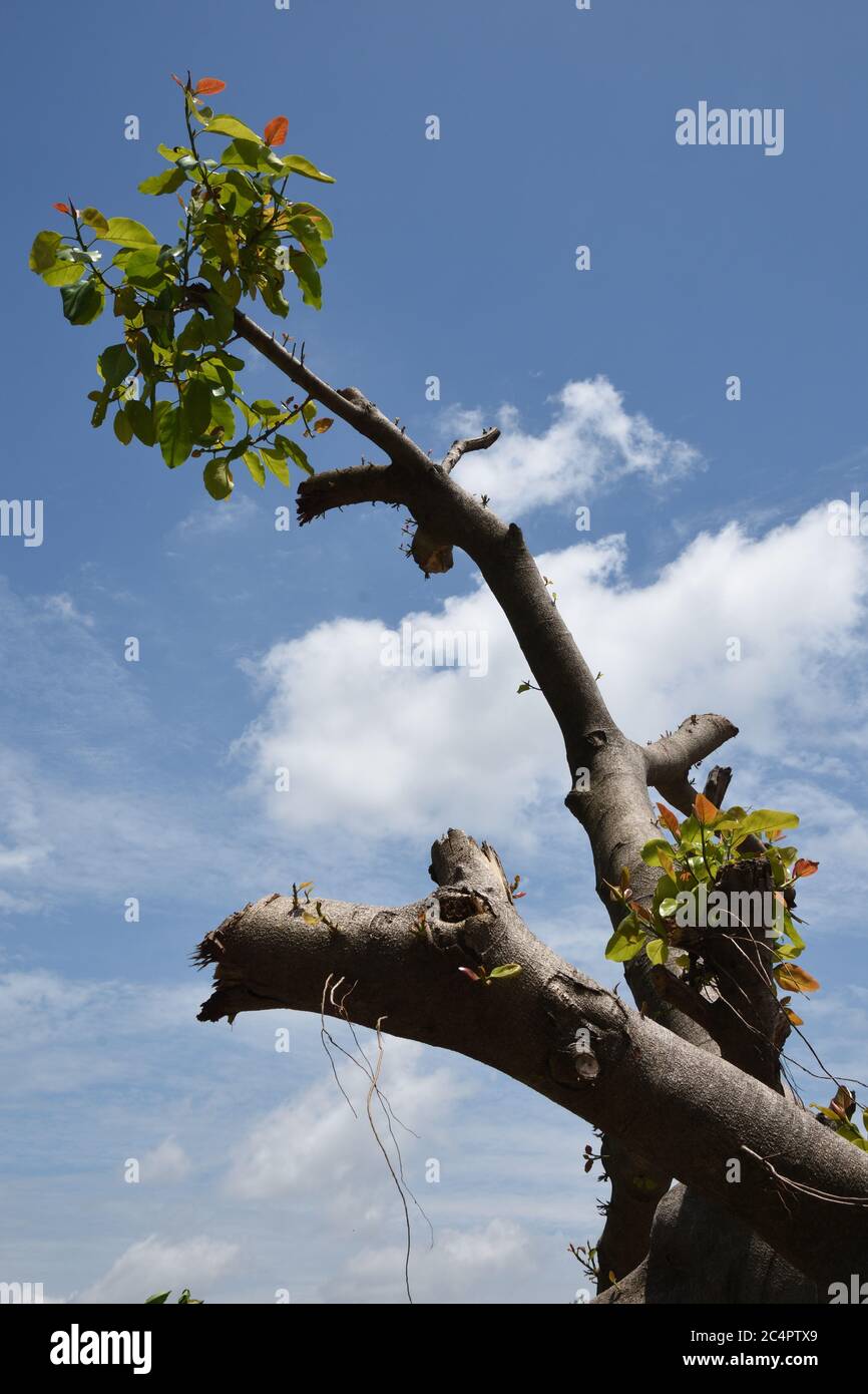 Howrah amphan hi-res stock photography and images - Alamy