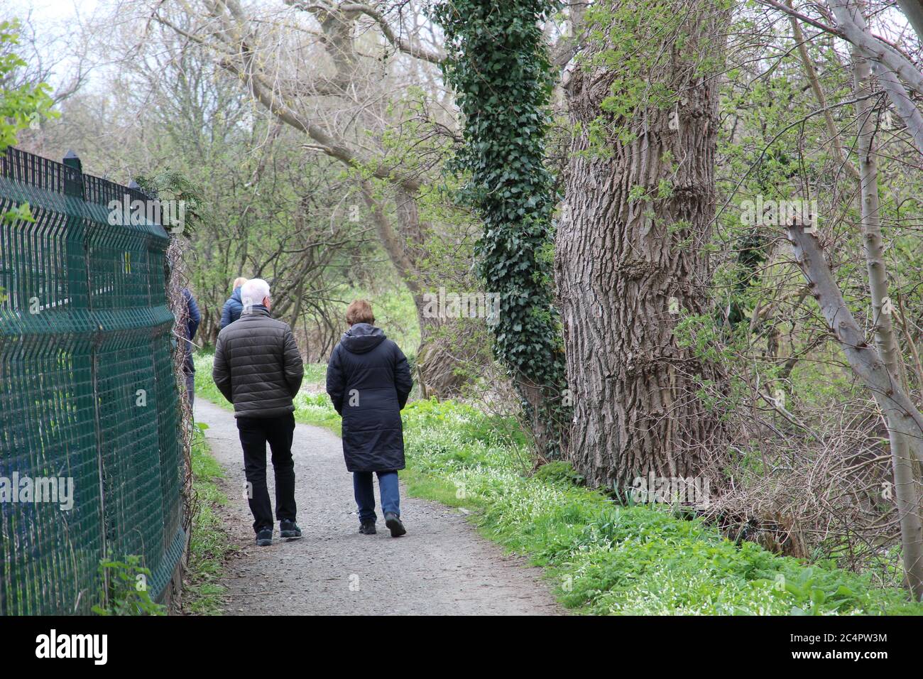 Elderly couple walking in forest hi-res stock photography and images ...