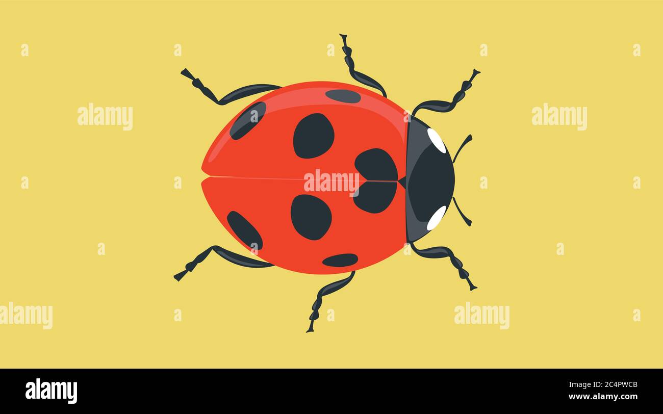 Vector Isolated Illustration of a Ladybug Stock Vector Image & Art - Alamy