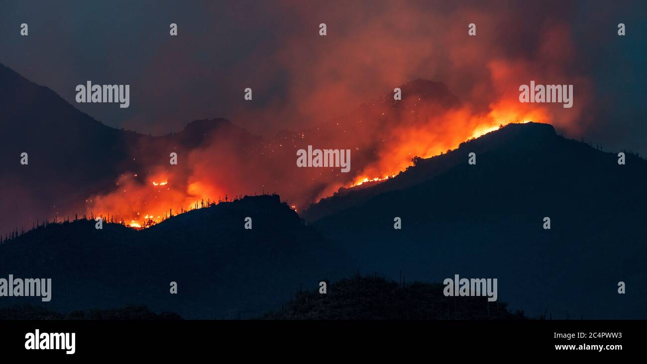 The Bighorn Fire, Catalina Foothills, Tucson, AZ 6-23-2020 Stock Photo