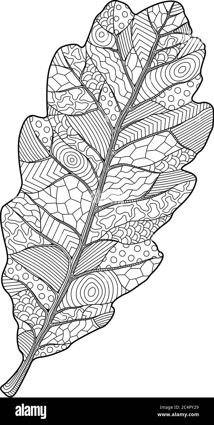 Coloring Book Page With Decorative Oak Leaf On White Background Stock Vector Image Art Alamy