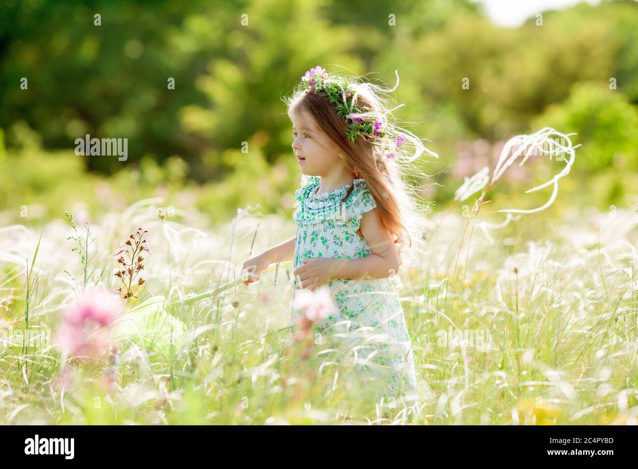 Child garden butterfly net hi-res stock photography and images - Page 2 -  Alamy