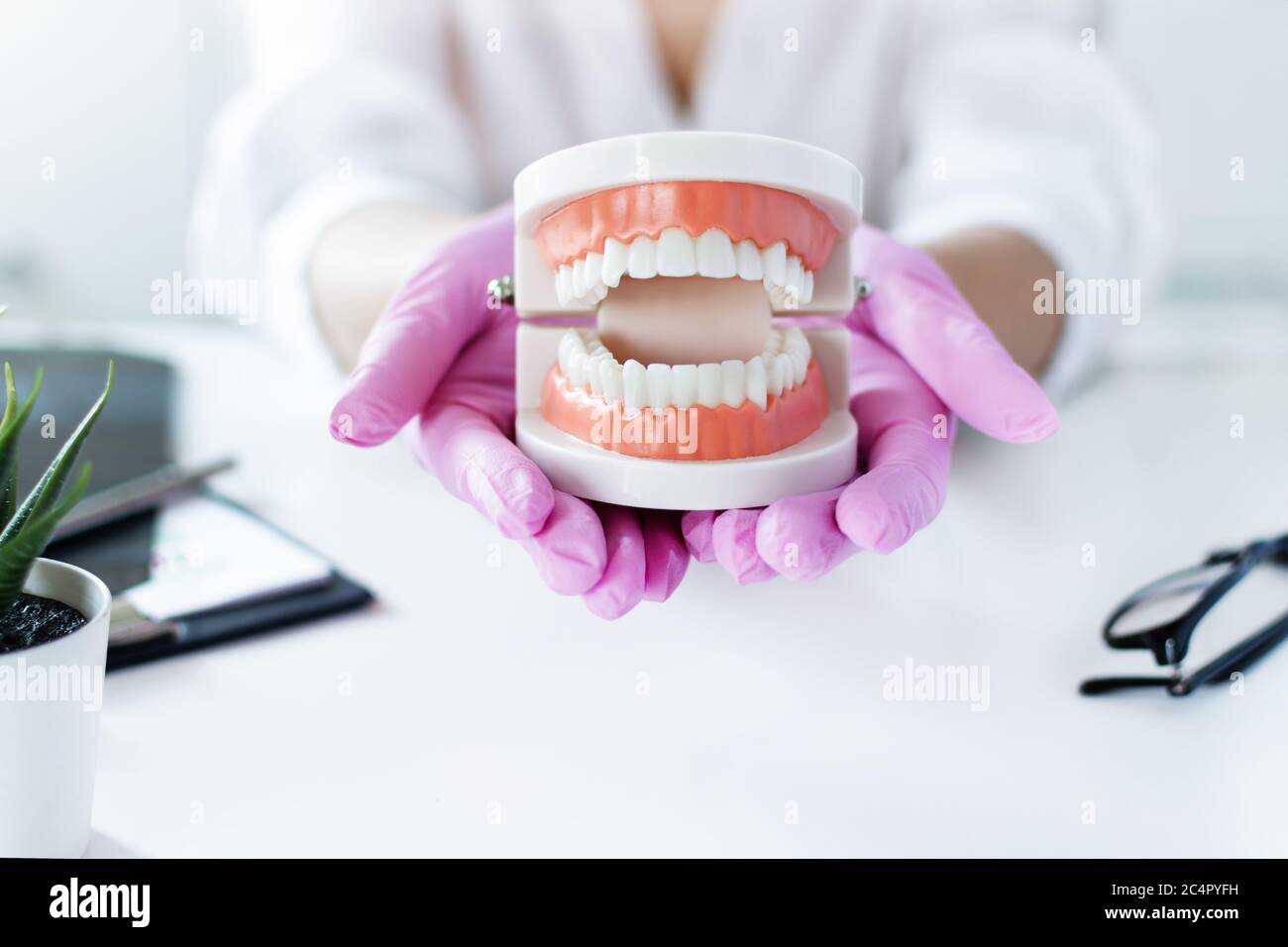 Dentist holding model of dentures in dentist's office. Doctor