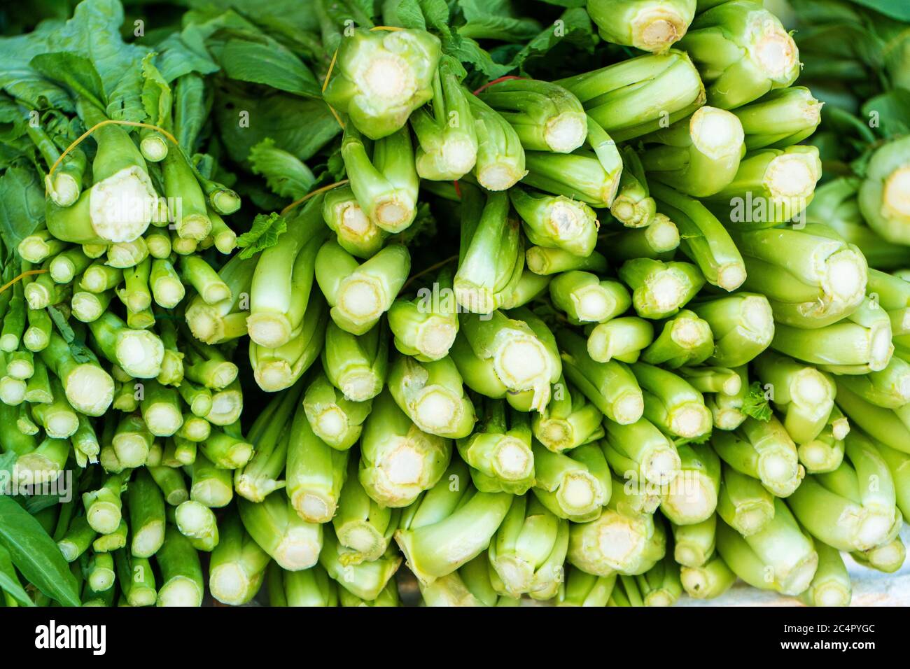 Close-up of a bunch of green onions in a store window Stock Photo - Alamy
