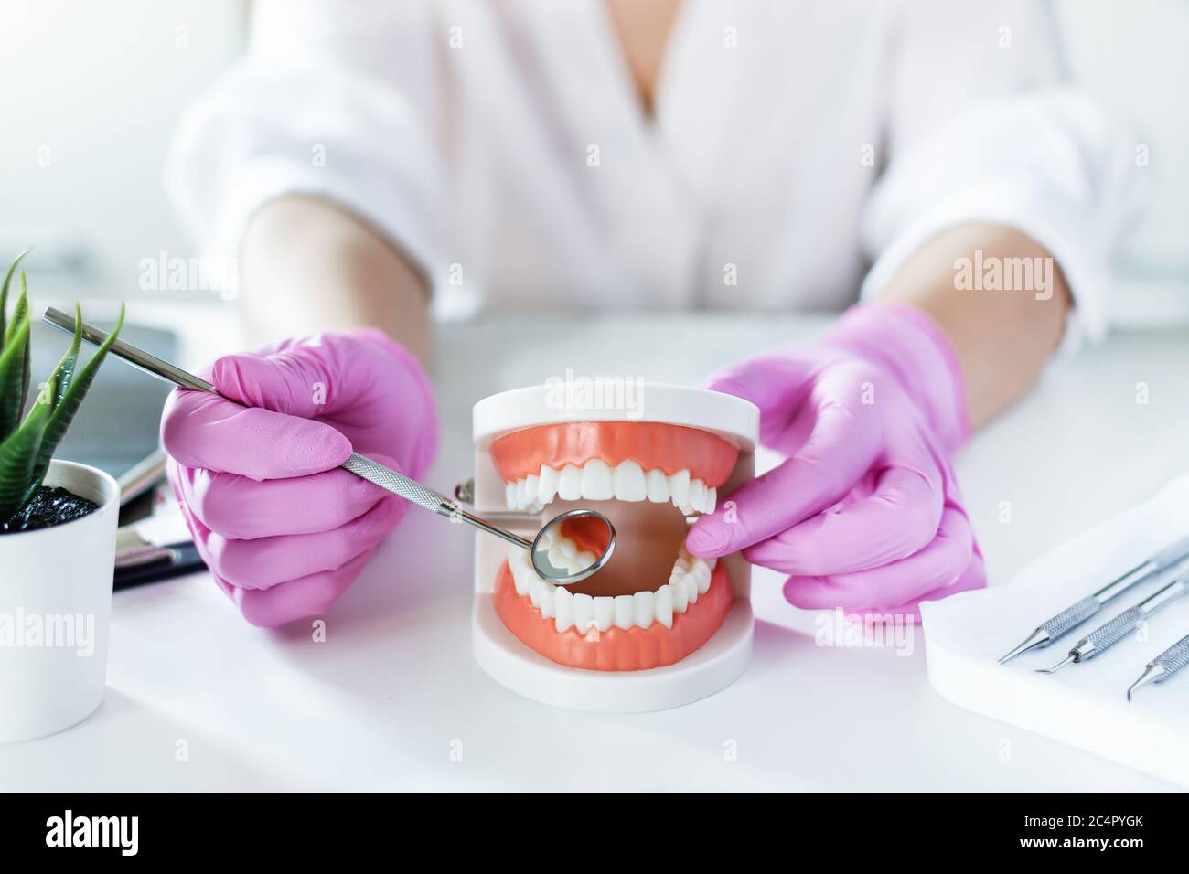 Dentist holding model of teeth denture and explain with angled mirror