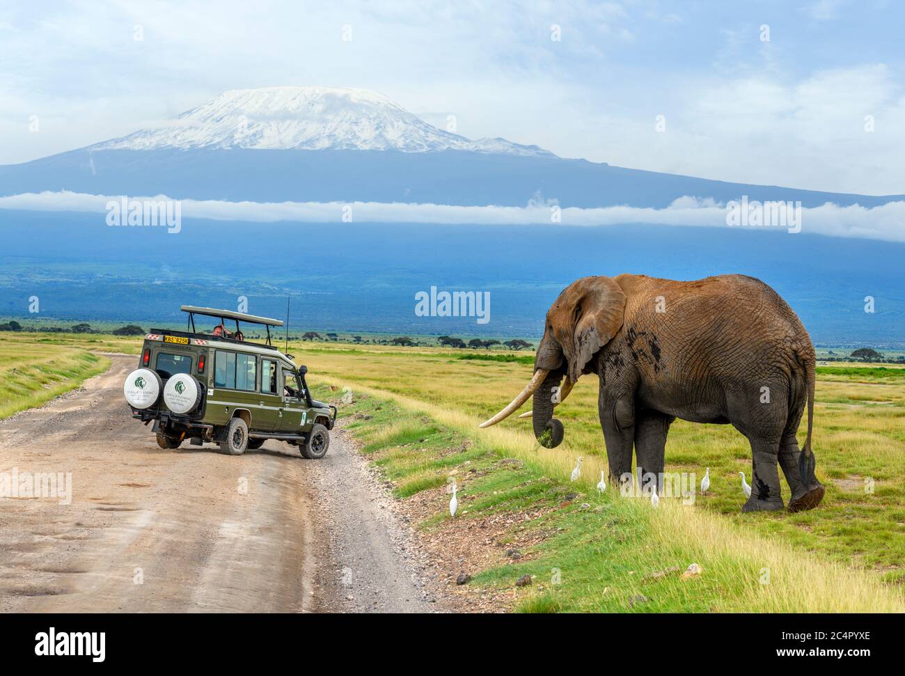 Tourists in safafri vehicle watching an African bush elephant (Loxodonta africana) with Mount Kilimanjaro behind, Amboseli National Park, Kenya, Afric Stock Photo